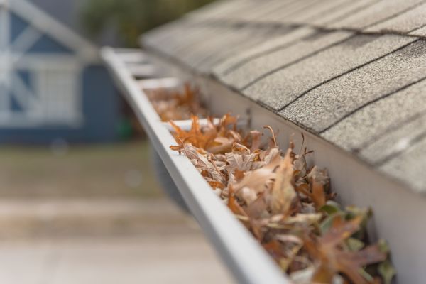 Leaf Barrier Installation in Lincoln